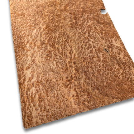 Amboyna (Maser) Furnier | 31 x 19 cm